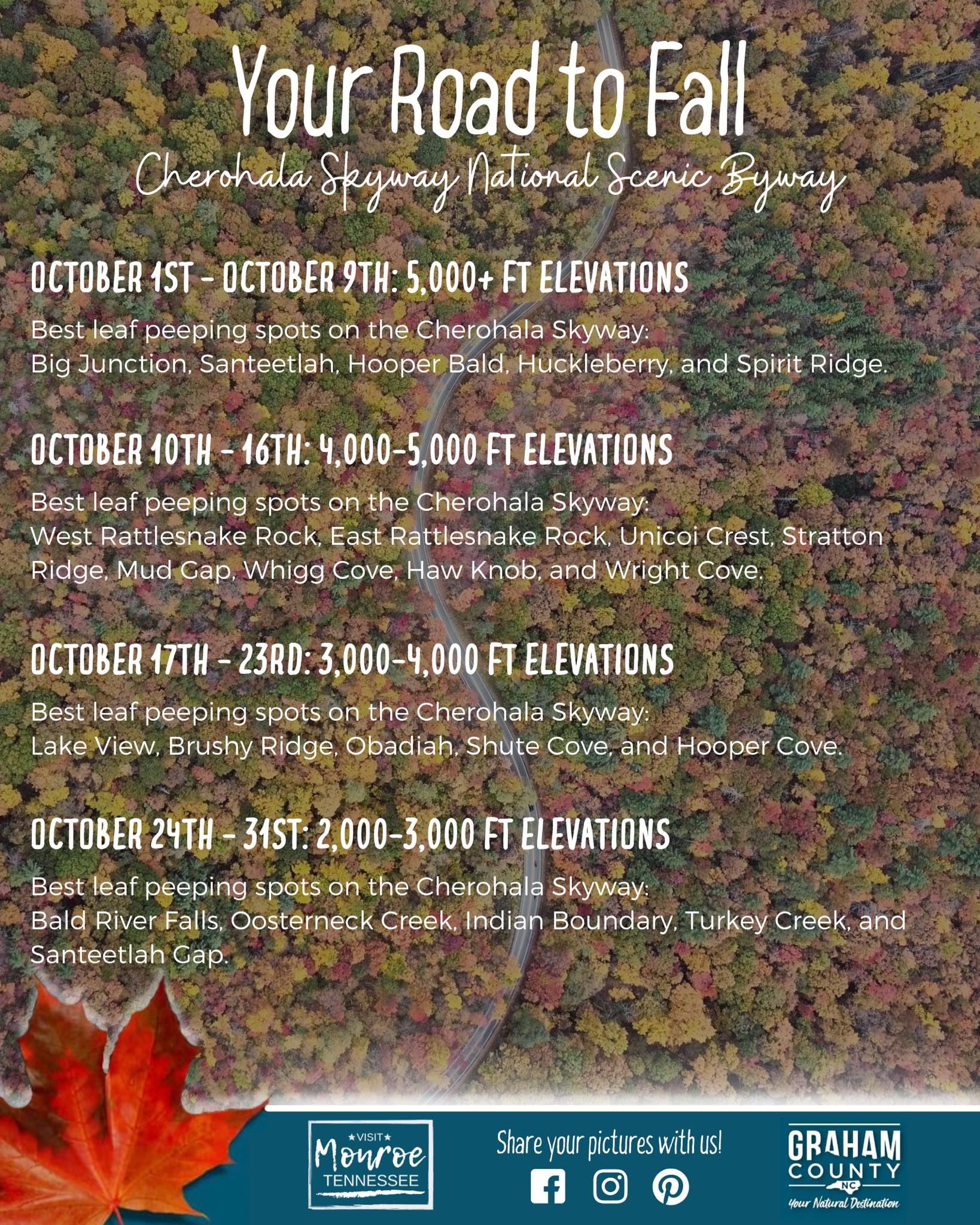 Fall Leaves in Blue Ridge Mountains